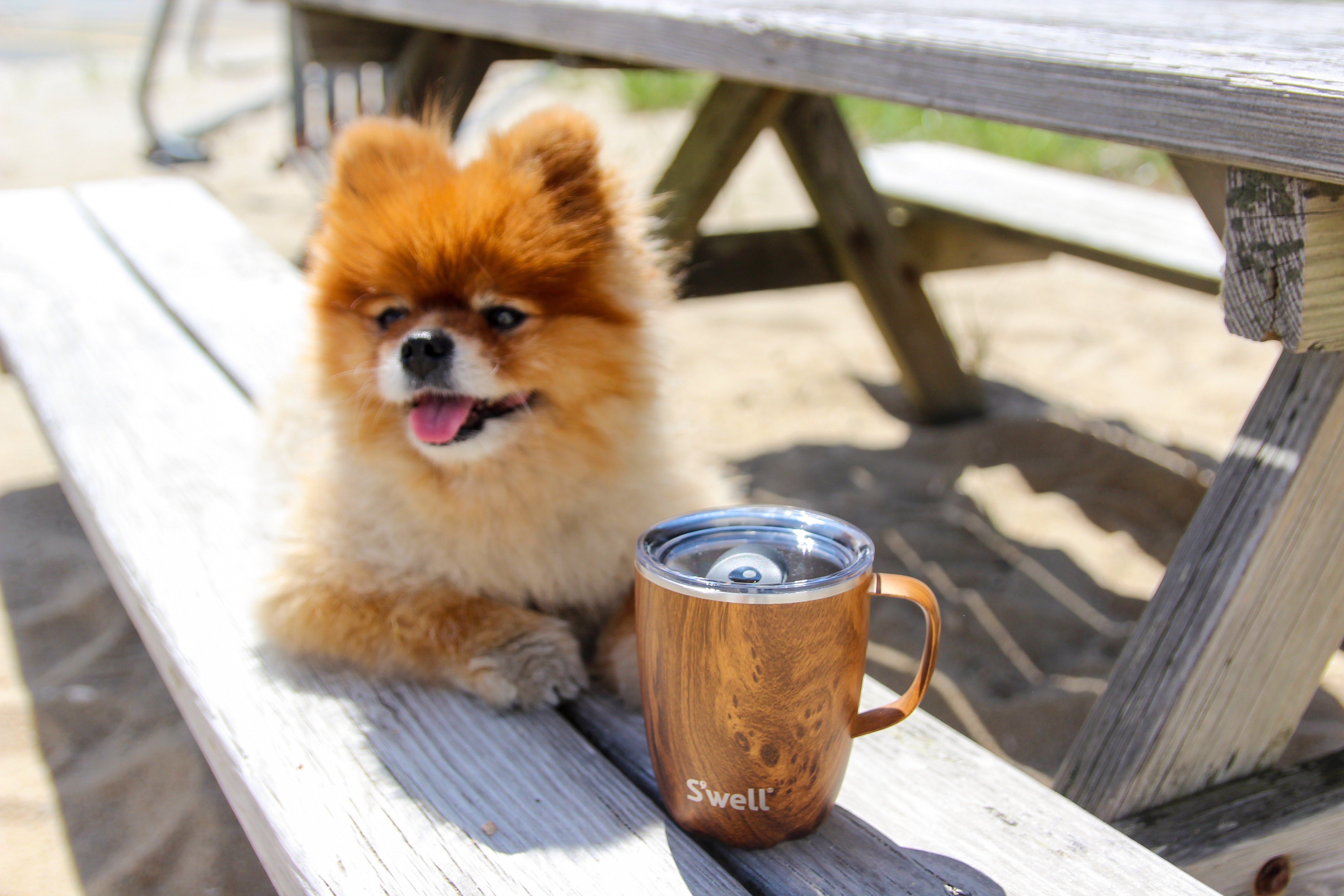 S'well Mug With Handle